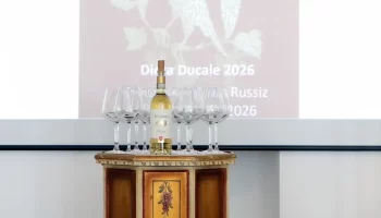 <br />
<b>Warning</b>:  Undefined variable $img in <b>/home/ducatovinix/public_html/site/wp-content/themes/ppo_ducato/single-attivita.php</b> on line <b>276</b><br />
<br />
<b>Warning</b>:  Trying to access array offset on null in <b>/home/ducatovinix/public_html/site/wp-content/themes/ppo_ducato/single-attivita.php</b> on line <b>276</b><br />
