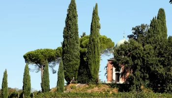<br />
<b>Warning</b>:  Undefined variable $img in <b>/home/ducatovinix/public_html/site/wp-content/themes/ppo_ducato/single-attivita.php</b> on line <b>276</b><br />
<br />
<b>Warning</b>:  Trying to access array offset on null in <b>/home/ducatovinix/public_html/site/wp-content/themes/ppo_ducato/single-attivita.php</b> on line <b>276</b><br />
