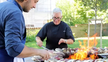 <br />
<b>Warning</b>:  Undefined variable $img in <b>/home/ducatovinix/public_html/site/wp-content/themes/ppo_ducato/single-attivita.php</b> on line <b>276</b><br />
<br />
<b>Warning</b>:  Trying to access array offset on null in <b>/home/ducatovinix/public_html/site/wp-content/themes/ppo_ducato/single-attivita.php</b> on line <b>276</b><br />
