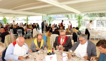 <br />
<b>Warning</b>:  Undefined variable $img in <b>/home/ducatovinix/public_html/site/wp-content/themes/ppo_ducato/single-attivita.php</b> on line <b>276</b><br />
<br />
<b>Warning</b>:  Trying to access array offset on null in <b>/home/ducatovinix/public_html/site/wp-content/themes/ppo_ducato/single-attivita.php</b> on line <b>276</b><br />
